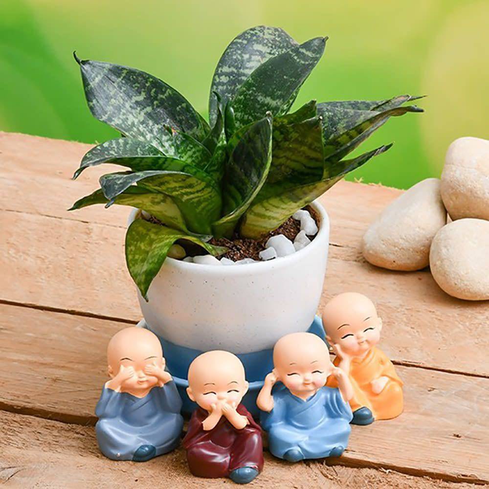 Sansevieria In A Ceramic Pot And Cute Monks - YuvaFlowers