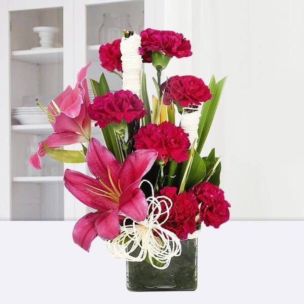 Serene Carnation - YuvaFlowers